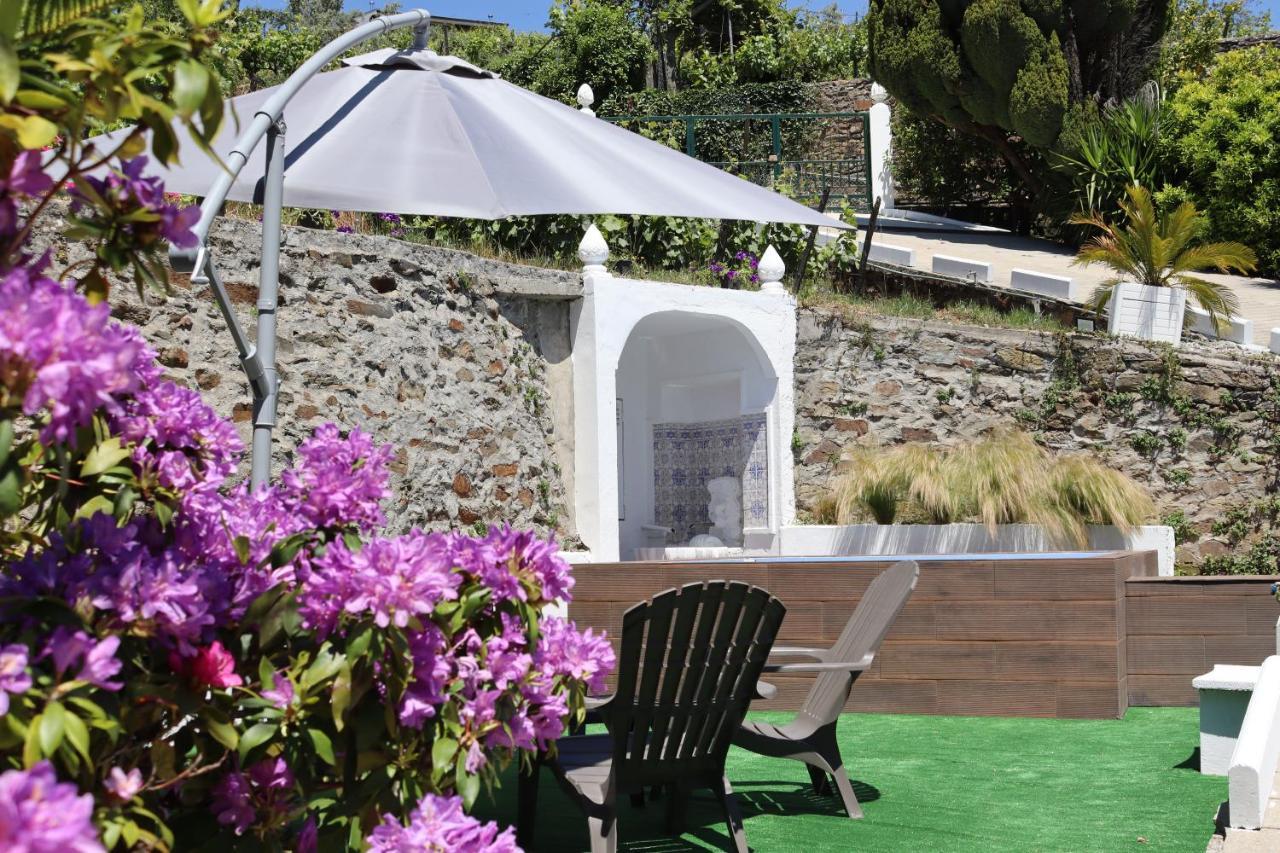 Villa Samaritana - Casa Da Vinha Vila Marim 外观 照片